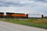 BNSF 3737 Roster shot